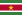 Flag of Suriname svg.png