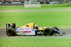 Williams1993.jpg